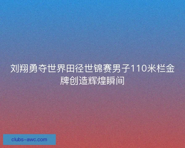 刘翔勇夺世界田径世锦赛男子110米栏金牌创造辉煌瞬间